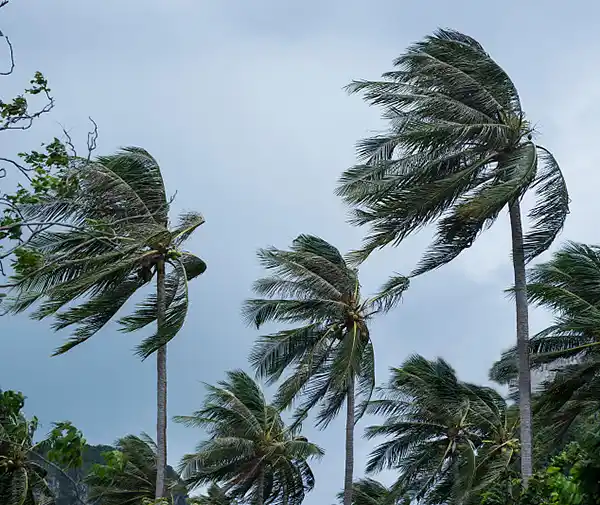AT Louvre pergola wind load resistance diagram — tested to 193 km/h